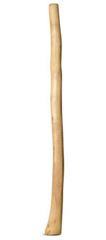 Medium Size Natural Finish Didgeridoo (TW1151)